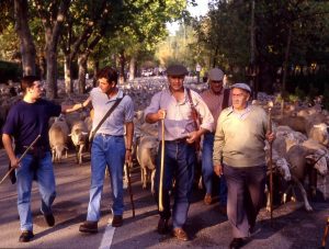 ENTRANDO A MADRID 1994 1