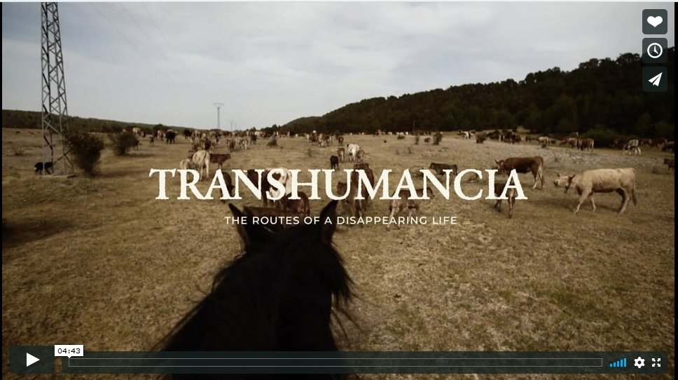 TRASHUMANCIA TRAILER