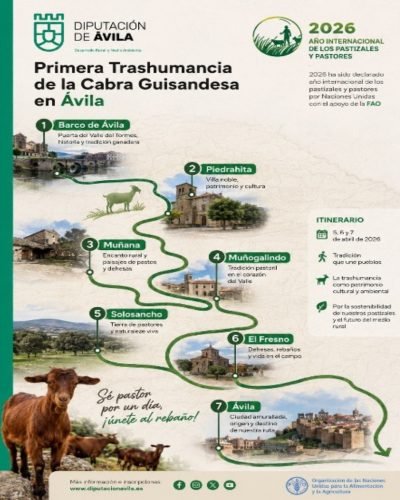 fiestaTrashumancia_02
