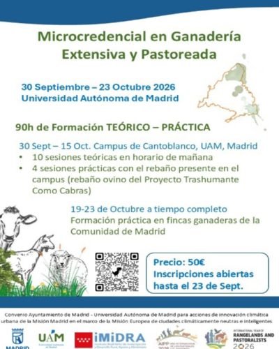 fiestaTrashumancia_03