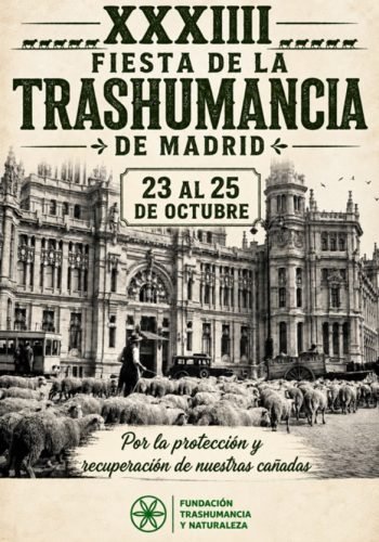 fiestaTrashumancia_05