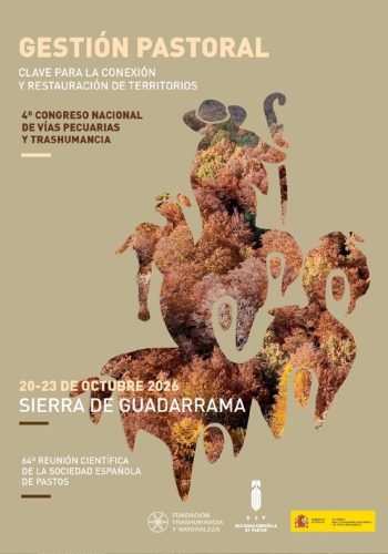 fiestaTrashumancia_07